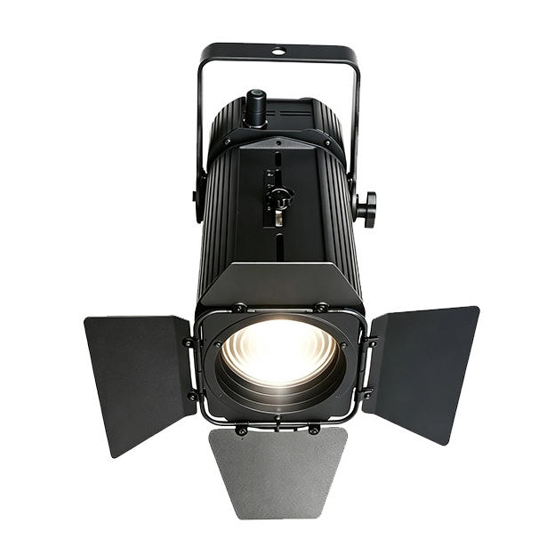 LF100CW-WW 100W white LED PROFILE 